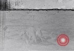 Image of Australian survivors Pacific Ocean, 1944, second 1 stock footage video 65675074408