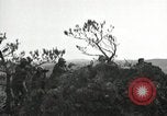 Standbild Schokolade Drop Hill Okinawa Ryukyu Inseln, 1945, aus Sekunde 53 historischem Filmmaterial Videoclip 65675074416