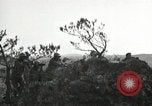 Standbild Schokolade Drop Hill Okinawa Ryukyu Inseln, 1945, aus Sekunde 54 historischem Filmmaterial Videoclip 65675074416