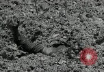 Image of US Marines firning Browning M1919 machine gun Okinawa Ryukyu Islands, 1945, second 10 stock footage video 65675074419