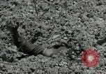 Image of US Marines firning Browning M1919 machine gun Okinawa Ryukyu Islands, 1945, second 11 stock footage video 65675074419