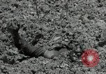 Image of US Marines firning Browning M1919 machine gun Okinawa Ryukyu Islands, 1945, second 12 stock footage video 65675074419