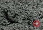 Image of US Marines firning Browning M1919 machine gun Okinawa Ryukyu Islands, 1945, second 17 stock footage video 65675074419