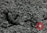 Image of US Marines firning Browning M1919 machine gun Okinawa Ryukyu Islands, 1945, second 19 stock footage video 65675074419