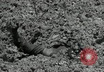 Image of US Marines firning Browning M1919 machine gun Okinawa Ryukyu Islands, 1945, second 20 stock footage video 65675074419