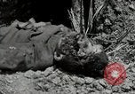 Image of US Marines firning Browning M1919 machine gun Okinawa Ryukyu Islands, 1945, second 44 stock footage video 65675074419