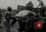 Image of African American troops Okinawa Ryukyu Islands, 1945, second 35 stock footage video 65675074423