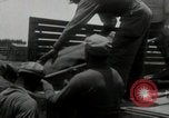 Image of African American troops Okinawa Ryukyu Islands, 1945, second 48 stock footage video 65675074423