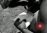 Immagine di Stati Uniti truppe Okinawa isole Ryukyu, 1945, secondo 17 filmato di repertorio 65675074424