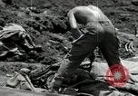 Immagine di Stati Uniti truppe Okinawa isole Ryukyu, 1945, secondo 25 filmato di repertorio 65675074424