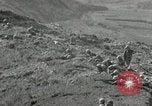 Standbild USA Soldaten Okinawa Ryukyu Inseln, 1945, aus Sekunde 61 historischem Filmmaterial Videoclip 65675074426