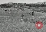 Standbild USA Soldaten Okinawa Ryukyu Inseln, 1945, aus Sekunde 14 historischem Filmmaterial Videoclip 65675074428