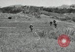 Standbild USA Soldaten Okinawa Ryukyu Inseln, 1945, aus Sekunde 16 historischem Filmmaterial Videoclip 65675074428