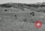 Standbild USA Soldaten Okinawa Ryukyu Inseln, 1945, aus Sekunde 17 historischem Filmmaterial Videoclip 65675074428