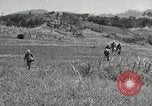 Standbild USA Soldaten Okinawa Ryukyu Inseln, 1945, aus Sekunde 20 historischem Filmmaterial Videoclip 65675074428