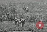 Image of United States soldiers Okinawa Ryukyu Islands, 1945, second 8 stock footage video 65675074429