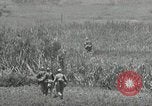 Image of United States soldiers Okinawa Ryukyu Islands, 1945, second 12 stock footage video 65675074429