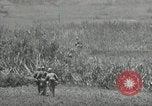 Image of United States soldiers Okinawa Ryukyu Islands, 1945, second 13 stock footage video 65675074429