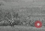 Image of United States soldiers Okinawa Ryukyu Islands, 1945, second 16 stock footage video 65675074429