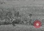 Image of United States soldiers Okinawa Ryukyu Islands, 1945, second 18 stock footage video 65675074429