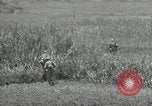 Image of United States soldiers Okinawa Ryukyu Islands, 1945, second 20 stock footage video 65675074429