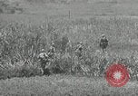Image of United States soldiers Okinawa Ryukyu Islands, 1945, second 22 stock footage video 65675074429