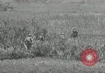 Image of United States soldiers Okinawa Ryukyu Islands, 1945, second 23 stock footage video 65675074429