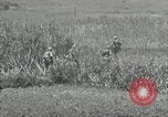 Image of United States soldiers Okinawa Ryukyu Islands, 1945, second 24 stock footage video 65675074429
