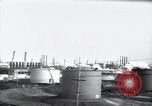 Standbild Pflanzen California United States USA, 1944, aus Sekunde 1 historischem Filmmaterial Videoclip 65675074445
