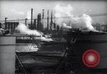 Standbild Pflanzen California United States USA, 1944, aus Sekunde 12 historischem Filmmaterial Videoclip 65675074445