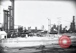 Standbild Pflanzen California United States USA, 1944, aus Sekunde 13 historischem Filmmaterial Videoclip 65675074445