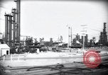 Standbild Pflanzen California United States USA, 1944, aus Sekunde 14 historischem Filmmaterial Videoclip 65675074445