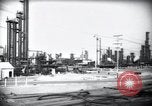 Standbild Pflanzen California United States USA, 1944, aus Sekunde 15 historischem Filmmaterial Videoclip 65675074445