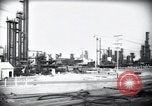 Standbild Pflanzen California United States USA, 1944, aus Sekunde 16 historischem Filmmaterial Videoclip 65675074445