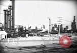 Standbild Pflanzen California United States USA, 1944, aus Sekunde 17 historischem Filmmaterial Videoclip 65675074445