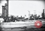Standbild Pflanzen California United States USA, 1944, aus Sekunde 18 historischem Filmmaterial Videoclip 65675074445