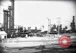 Standbild Pflanzen California United States USA, 1944, aus Sekunde 19 historischem Filmmaterial Videoclip 65675074445