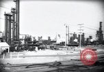 Standbild Pflanzen California United States USA, 1944, aus Sekunde 20 historischem Filmmaterial Videoclip 65675074445