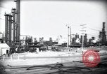 Standbild Pflanzen California United States USA, 1944, aus Sekunde 21 historischem Filmmaterial Videoclip 65675074445