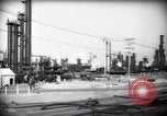 Standbild Pflanzen California United States USA, 1944, aus Sekunde 23 historischem Filmmaterial Videoclip 65675074445