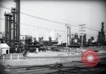 Standbild Pflanzen California United States USA, 1944, aus Sekunde 24 historischem Filmmaterial Videoclip 65675074445