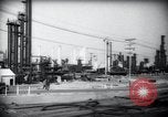 Standbild Pflanzen California United States USA, 1944, aus Sekunde 25 historischem Filmmaterial Videoclip 65675074445