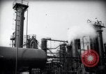 Standbild Pflanzen California United States USA, 1944, aus Sekunde 29 historischem Filmmaterial Videoclip 65675074445