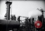 Standbild Pflanzen California United States USA, 1944, aus Sekunde 30 historischem Filmmaterial Videoclip 65675074445