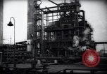 Standbild Pflanzen California United States USA, 1944, aus Sekunde 42 historischem Filmmaterial Videoclip 65675074445