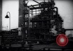 Standbild Pflanzen California United States USA, 1944, aus Sekunde 43 historischem Filmmaterial Videoclip 65675074445
