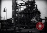 Standbild Pflanzen California United States USA, 1944, aus Sekunde 44 historischem Filmmaterial Videoclip 65675074445