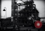 Standbild Pflanzen California United States USA, 1944, aus Sekunde 45 historischem Filmmaterial Videoclip 65675074445