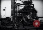 Standbild Pflanzen California United States USA, 1944, aus Sekunde 46 historischem Filmmaterial Videoclip 65675074445
