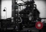 Standbild Pflanzen California United States USA, 1944, aus Sekunde 47 historischem Filmmaterial Videoclip 65675074445